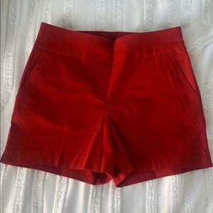 New York & Company Shorts Size Medium